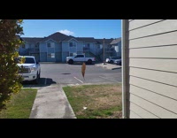 Hanging leaf spotted swings at front door
