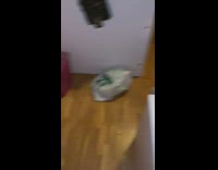 Girl opens door black dog on bed 