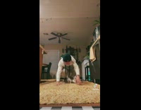 Baby kitten having conversation with owner 