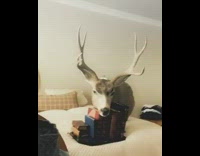 Deer head with antlers behind woman