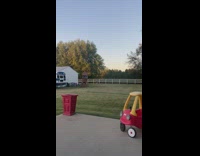 Guy run left behind chase dog on yard