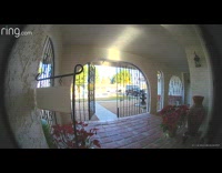 Ring camera footage of a guy who slips carrying xmas tree