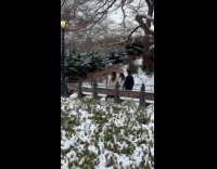 Three people film tiktok dance snowy park