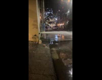 Collab Clips MPUGC - Me when I water line broken car