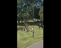 Two policemen on a horse with two women do jumping jacks