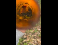 Closer look inside of the bottle with dirt and grass