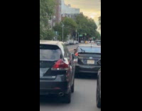 Dog peeks car window strolling in city
