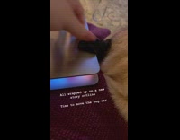 Moving sleeping dog ear to close laptop screen