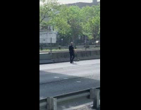 Cop leads ducks out the middle of street