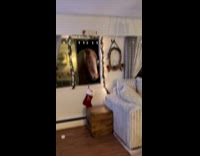 Horse neighing and peeking in on womans window