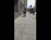 Lady rides bicycle with whole butt out 