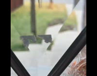 Woman yellow dress leaves pictorial front yard