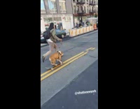Guy rides skateboard with bulldog on leash on the street