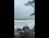 Man surfs while there is a hurricane 