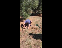 Man catch cobra that vomits another snake