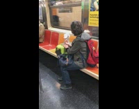 White bird on green carrier lady subway 