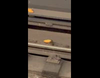 Rat dragging croissant on train rails 