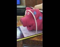 Pig toy makes oink noise