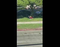 Woman in red leggings captures the grass at the yard