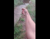 Wild Young Bird Flies to  Teenagers Shoulder