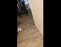 Collab BitchMP - Big white cat named charlie meows for green beans