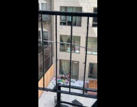 Kid throws stuff out the window