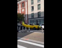 Submitter shows banana car on street