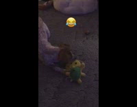 Dog plays with turtle and heart eye emoji plush toy in the living room