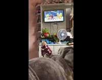 Pug dog watches monsters inc pink wall 