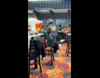 Man humps woman on chair at party