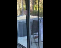 Red bird bumps on the door glass