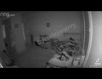 Collab Clips MPUGC - Woman thought sister was burglar 