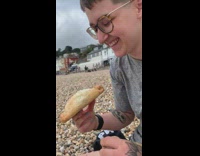 Seagull steal empanada bread from woman beach