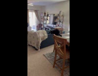 Cat busted going up kitchen counter 