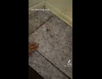 Secret door in closet moves girl gets close 