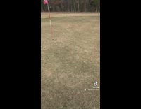 Golf caddy dog shows owner put line