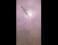 Rubber band paper clip hanged on web