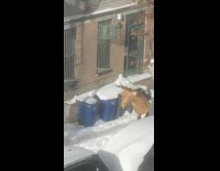 Inflatable reindeer costume girl runs across snow 