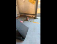 Collab BitchMP - Man hits fire extinguisher with basketball 