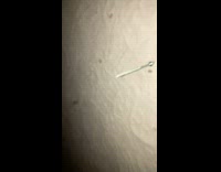 Metal screw nail stick upright on magnetic ground