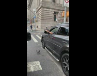 Guy in suv with pigeon sitting on hand 
