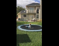 Girl attempts front flip trampoline hits face 