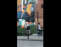 Panda head mask costume wall mural street