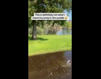 Toddler twins one dives into puddle