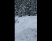 person purple white snow jacket snow board