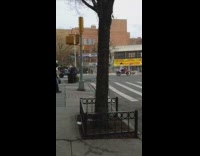 Group of people ride ATVs dirt bikes