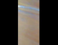 Cat walks away instead of playing peekaboo 