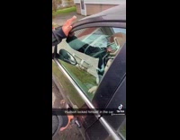 Baby boy inside of locked car pretending to drive 