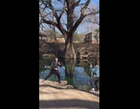 Man do martial arts arm movements pond