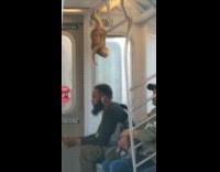 Collab WINY - Man Looks at Snake on Train Handrail